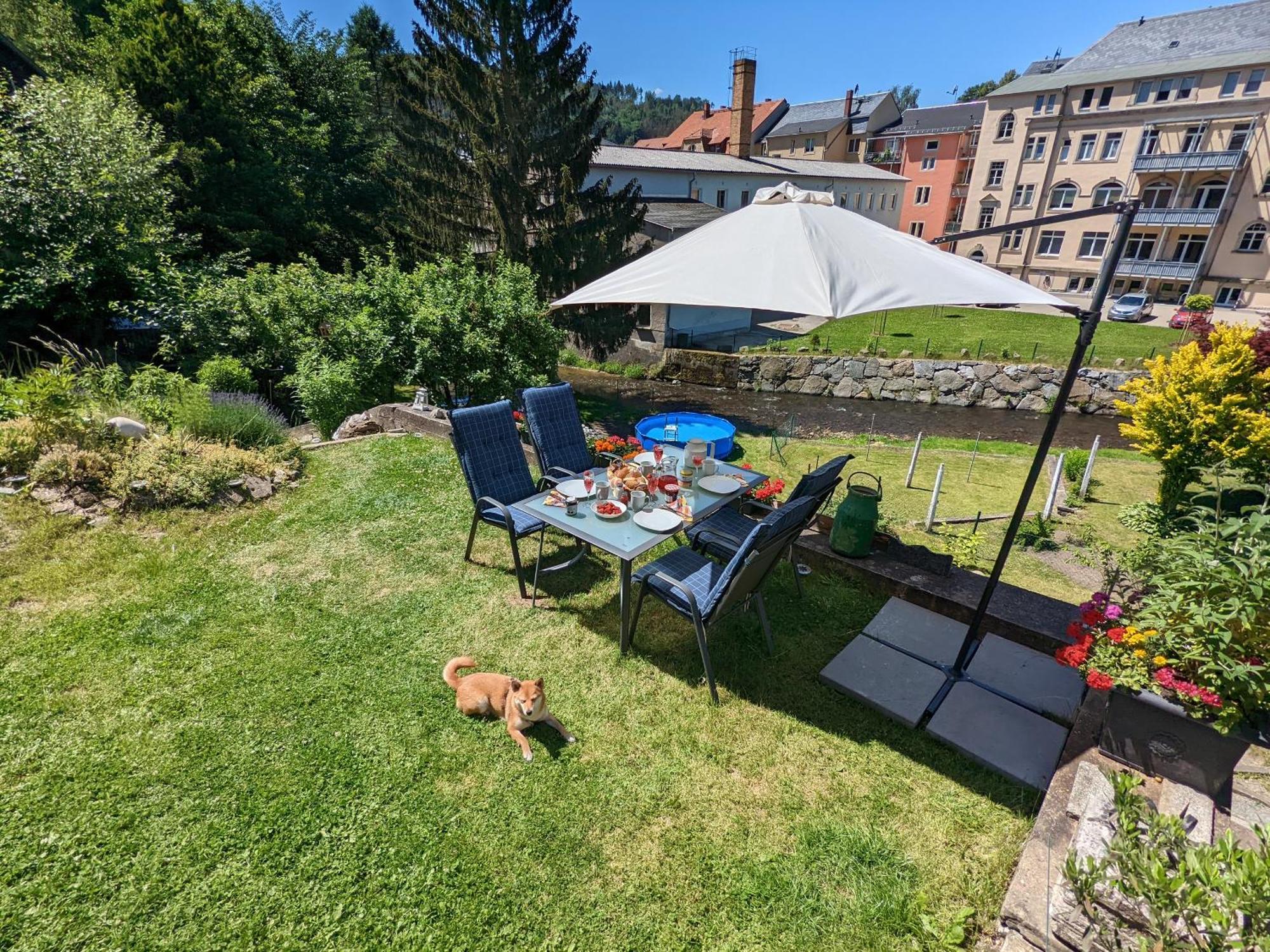 Hw2B - Urlaubsmagie - Wohlfuehlwohnung Mit Balkon, Pool, Sauna & Terrasse Sebnitz Dış mekan fotoğraf