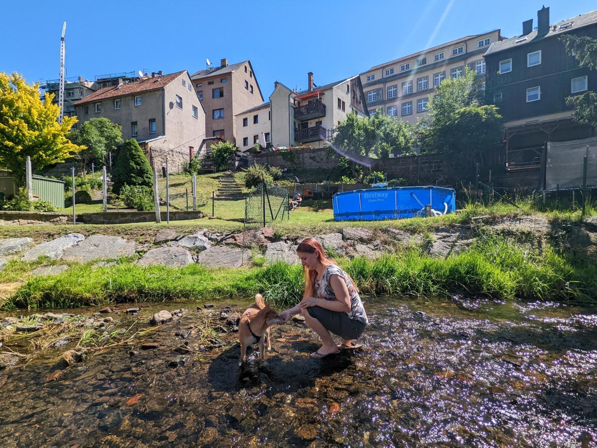 Hw2B - Urlaubsmagie - Wohlfuehlwohnung Mit Balkon, Pool, Sauna & Terrasse Sebnitz Dış mekan fotoğraf