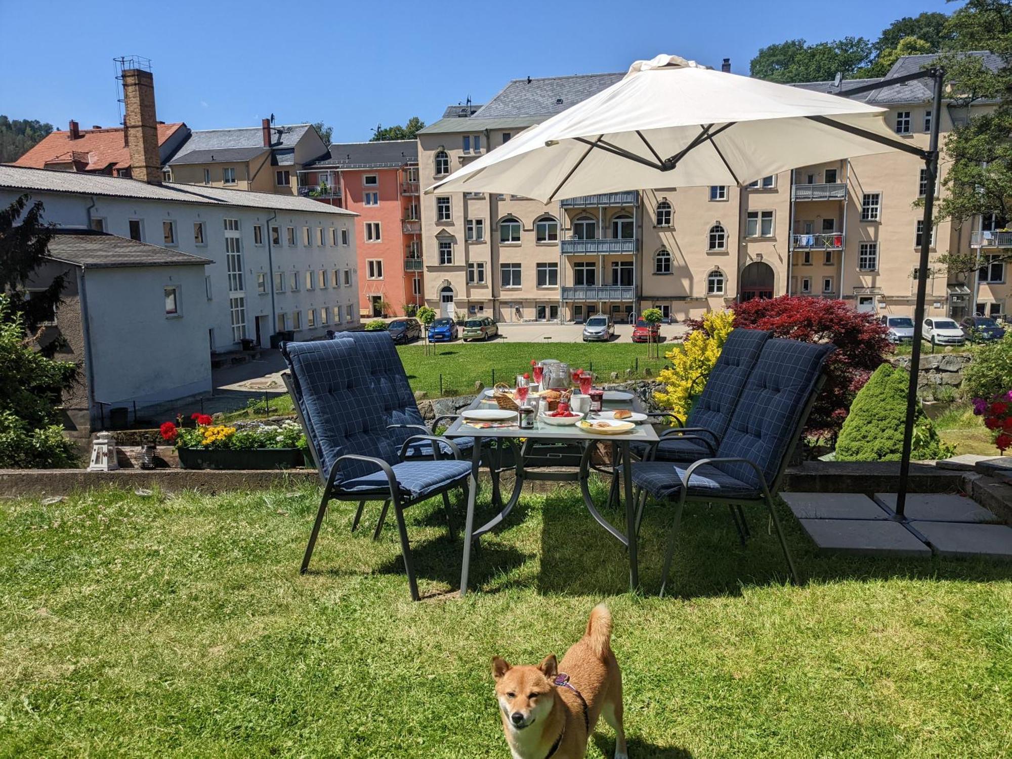 Hw2B - Urlaubsmagie - Wohlfuehlwohnung Mit Balkon, Pool, Sauna & Terrasse Sebnitz Dış mekan fotoğraf