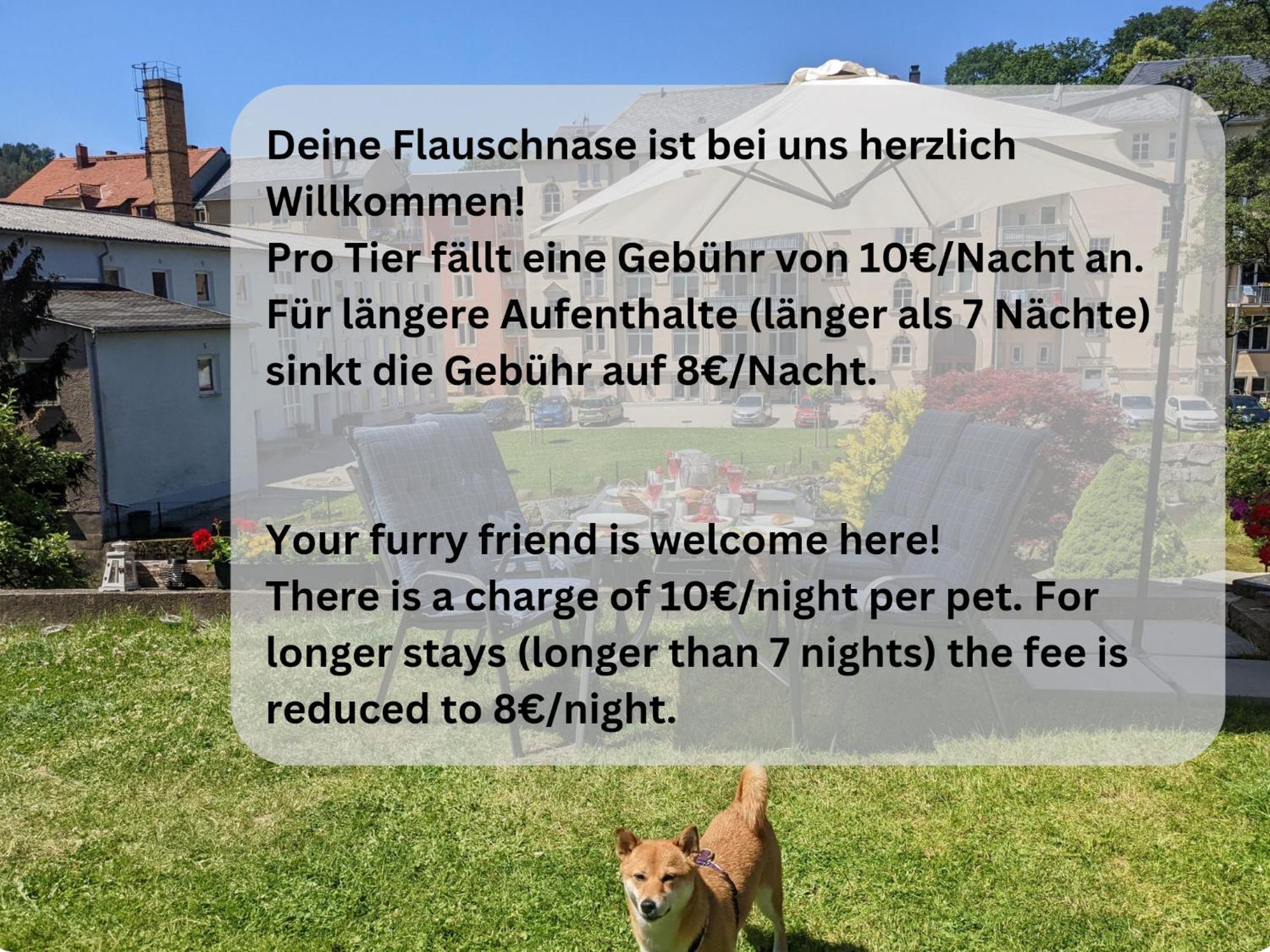 Hw2B - Urlaubsmagie - Wohlfuehlwohnung Mit Balkon, Pool, Sauna & Terrasse Sebnitz Dış mekan fotoğraf